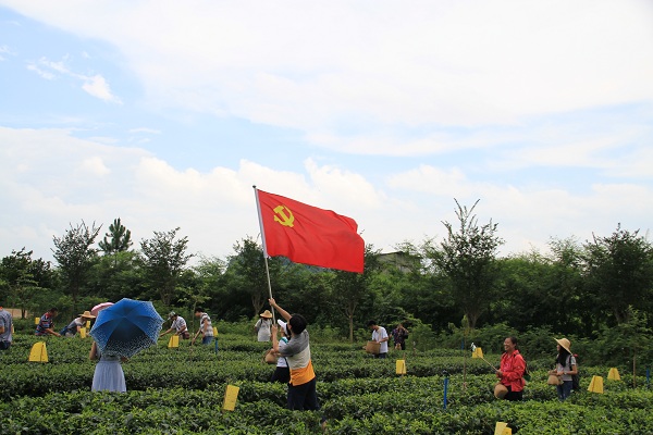 广东嘉博制药有限公司-新闻资讯